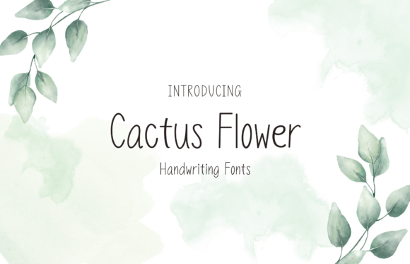 Choosing Cactus Flower Font for a Branding Project