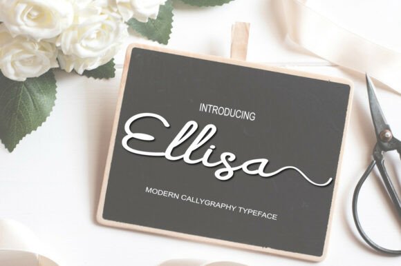 Ellisa: A Script with Unexpected Refinement