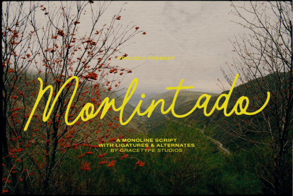 Morlintado: The Elegant Script Font for Modern Marketing