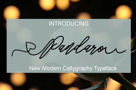 Pandaro Font: A Handmade Calligraphy Script for Modern Makers