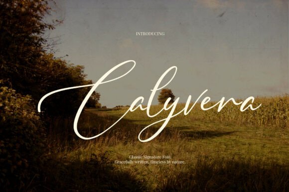 Using the Calyvera Script Font for a Beautiful Brand Identity